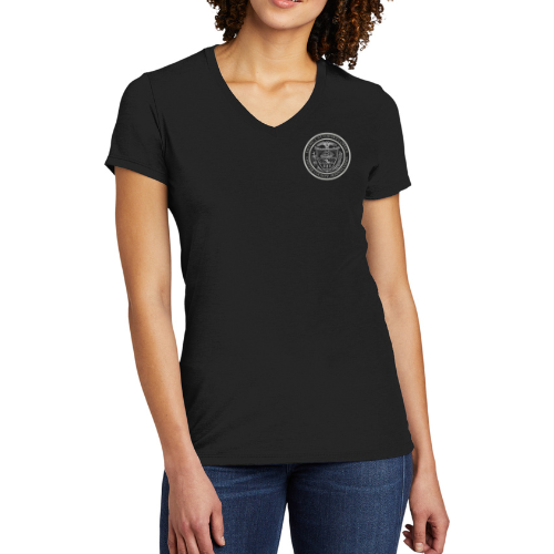 DAO V-neck T-shirt